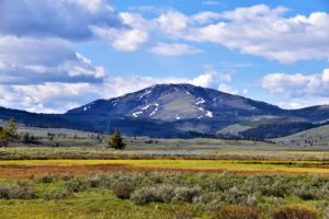 pmhnp job opening in montana