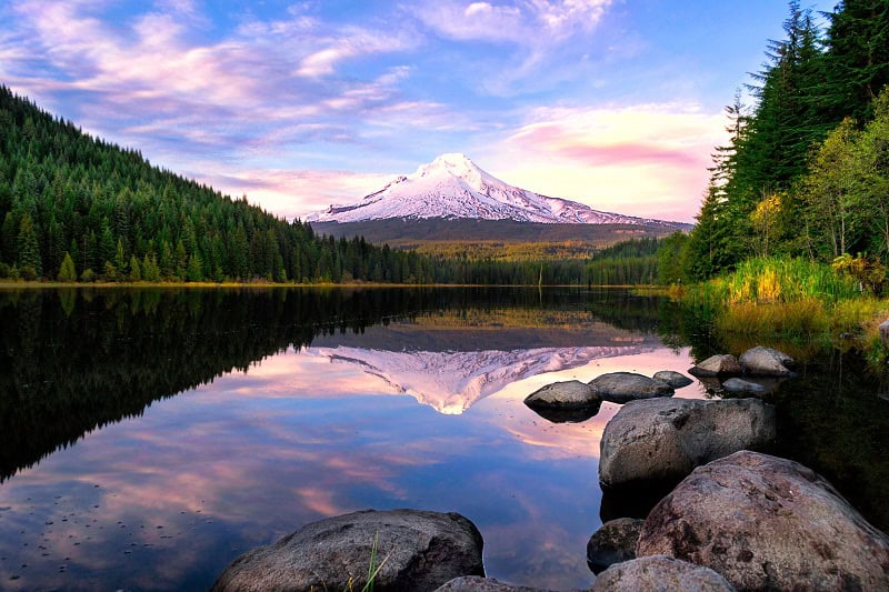 Hiring a Nurse Practitioner in Oregon!